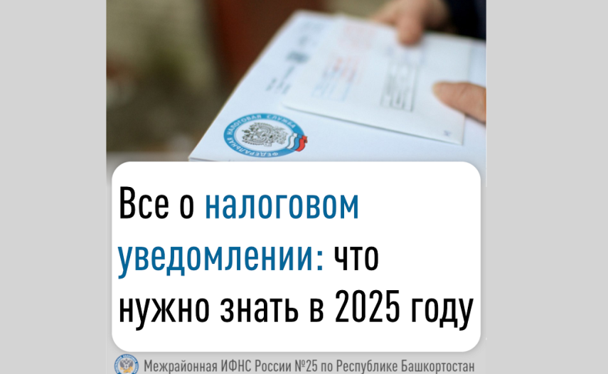 Все о налоговом уведомлении: что нужно знать в 2025 году